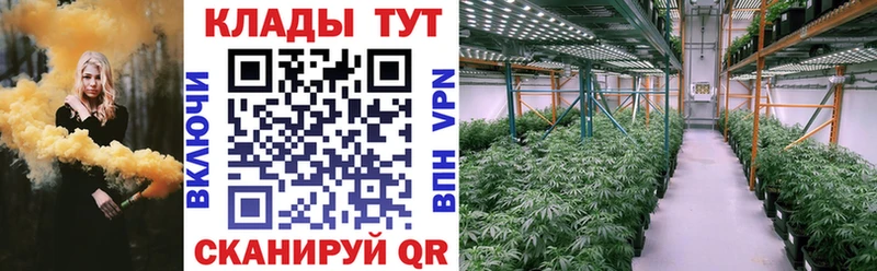 Продажа наркотиков Жиздра МАРИХУАНА  Меф мяу мяу  Галлюциногенные грибы  Вейп ТГК  ГАШ 