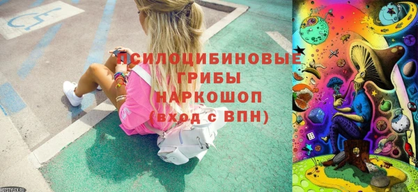 ECSTASY Алзамай