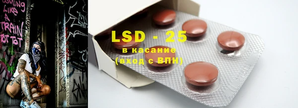 ECSTASY Алзамай