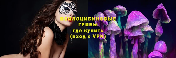 герыч Алексин