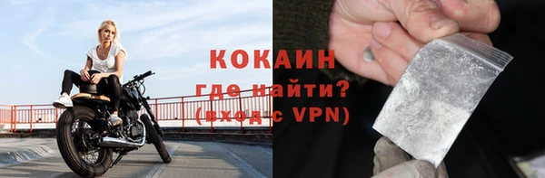 ECSTASY Алзамай
