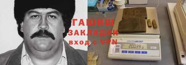 ECSTASY Алзамай