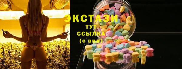 ECSTASY Алзамай