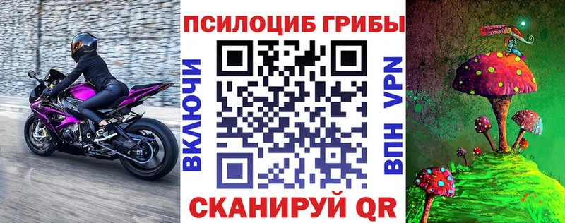 наркота  Жиздра  Галлюциногенные грибы MAGIC MUSHROOMS 