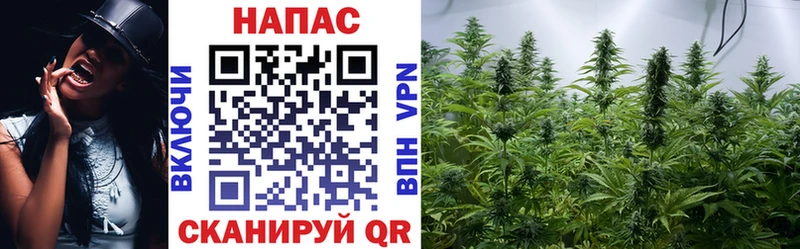 Каннабис AK-47  это Telegram  Жиздра  даркнет сайт 